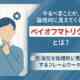 ペイオフマトリクスとは