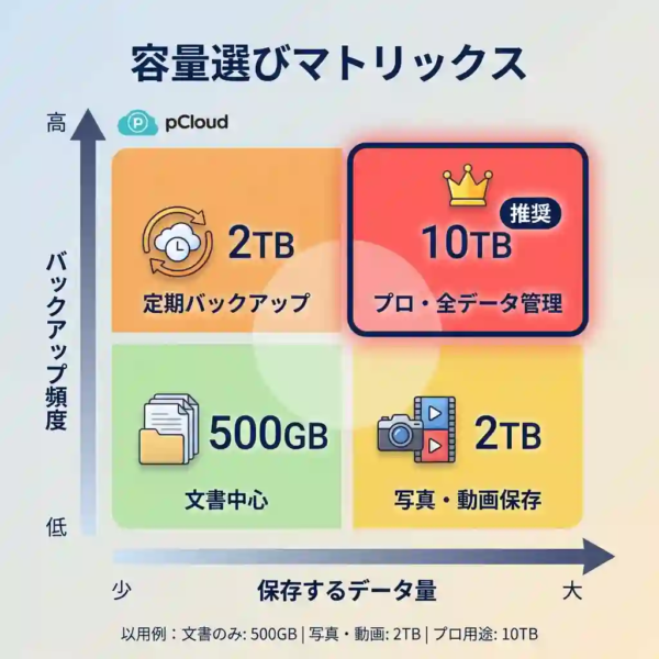 pCloud容量選びマトリックス