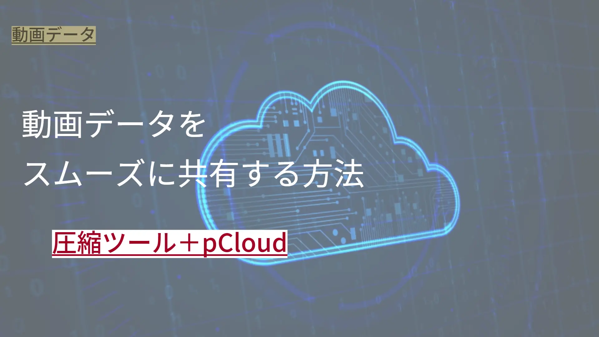 動画データを スムーズに共有する方法